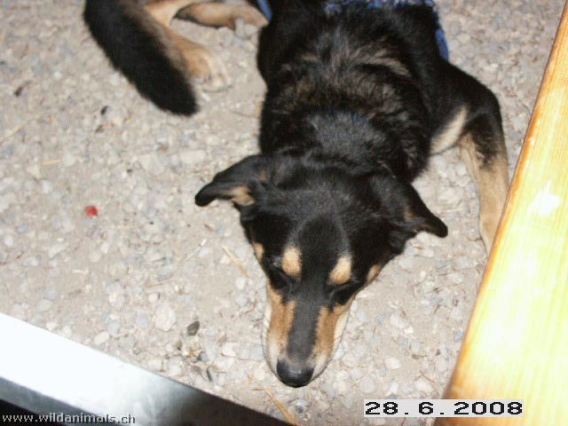 PICT0066